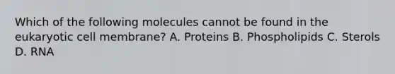 Which of the following molecules cannot be found in the eukaryotic cell membrane? A. Proteins B. Phospholipids C. Sterols D. RNA