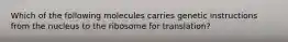 Which of the following molecules carries genetic instructions from the nucleus to the ribosome for translation?