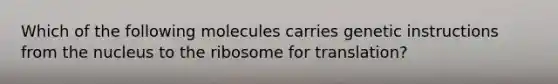 Which of the following molecules carries genetic instructions from the nucleus to the ribosome for translation?