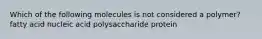 Which of the following molecules is not considered a polymer? fatty acid nucleic acid polysaccharide protein