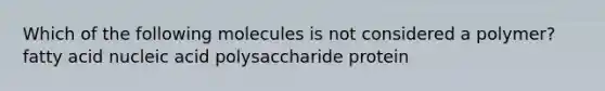 Which of the following molecules is not considered a polymer? fatty acid nucleic acid polysaccharide protein