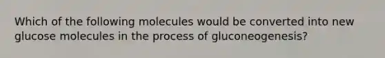 Which of the following molecules would be converted into new glucose molecules in the process of gluconeogenesis?