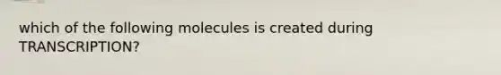 which of the following molecules is created during TRANSCRIPTION?