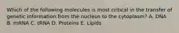 Which of the following molecules is most critical in the transfer of genetic information from the nucleus to the cytoplasm? A. DNA B. mRNA C. tRNA D. Proteins E. Lipids