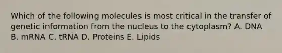 Which of the following molecules is most critical in the transfer of genetic information from the nucleus to the cytoplasm? A. DNA B. mRNA C. tRNA D. Proteins E. Lipids