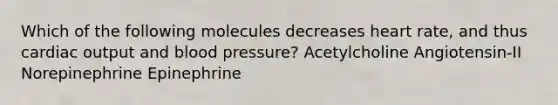 Which of the following molecules decreases heart rate, and thus cardiac output and blood pressure? Acetylcholine Angiotensin-II Norepinephrine Epinephrine