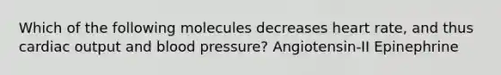 Which of the following molecules decreases heart rate, and thus cardiac output and blood pressure? Angiotensin-II Epinephrine