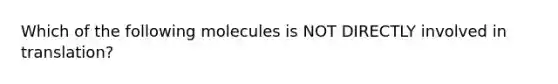 Which of the following molecules is NOT DIRECTLY involved in translation?