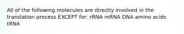 All of the following molecules are directly involved in the translation process EXCEPT for: rRNA mRNA DNA amino acids tRNA