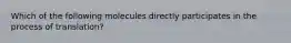 Which of the following molecules directly participates in the process of translation?