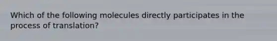 Which of the following molecules directly participates in the process of translation?