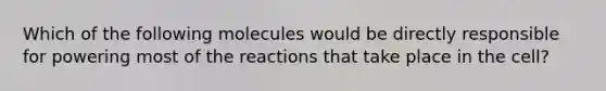 Which of the following molecules would be directly responsible for powering most of the reactions that take place in the cell?