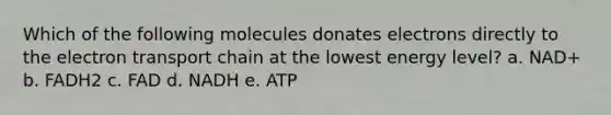 Which of the following molecules donates electrons directly to <a href='https://www.questionai.com/knowledge/k57oGBr0HP-the-electron-transport-chain' class='anchor-knowledge'>the electron transport chain</a> at the lowest energy level? a. NAD+ b. FADH2 c. FAD d. NADH e. ATP