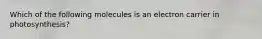 Which of the following molecules is an electron carrier in photosynthesis?