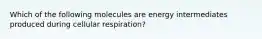 Which of the following molecules are energy intermediates produced during cellular respiration?