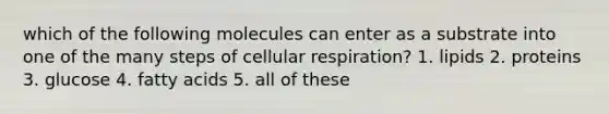 which of the following molecules can enter as a substrate into one of the many steps of cellular respiration? 1. lipids 2. proteins 3. glucose 4. fatty acids 5. all of these