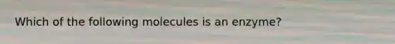 Which of the following molecules is an enzyme?