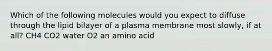 Which of the following molecules would you expect to diffuse through the lipid bilayer of a plasma membrane most slowly, if at all? CH4 CO2 water O2 an amino acid