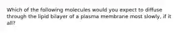 Which of the following molecules would you expect to diffuse through the lipid bilayer of a plasma membrane most slowly, if it all?