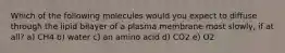 Which of the following molecules would you expect to diffuse through the lipid bilayer of a plasma membrane most slowly, if at all? a) CH4 b) water c) an amino acid d) CO2 e) O2