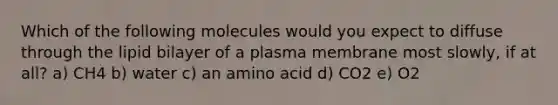 Which of the following molecules would you expect to diffuse through the lipid bilayer of a plasma membrane most slowly, if at all? a) CH4 b) water c) an amino acid d) CO2 e) O2