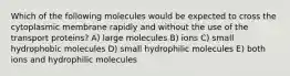 Which of the following molecules would be expected to cross the cytoplasmic membrane rapidly and without the use of the transport proteins? A) large molecules B) ions C) small hydrophobic molecules D) small hydrophilic molecules E) both ions and hydrophilic molecules