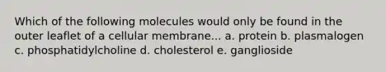 Which of the following molecules would only be found in the outer leaflet of a cellular membrane... a. protein b. plasmalogen c. phosphatidylcholine d. cholesterol e. ganglioside