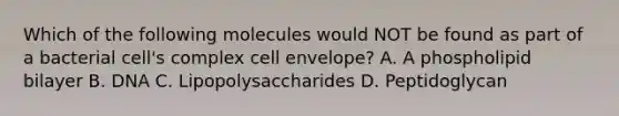 Which of the following molecules would NOT be found as part of a bacterial cell's complex cell envelope? A. A phospholipid bilayer B. DNA C. Lipopolysaccharides D. Peptidoglycan