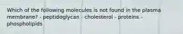 Which of the following molecules is not found in the plasma membrane? - peptidoglycan - cholesterol - proteins - phospholipids