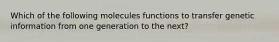 Which of the following molecules functions to transfer genetic information from one generation to the next?