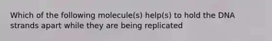 Which of the following molecule(s) help(s) to hold the DNA strands apart while they are being replicated