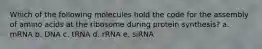 Which of the following molecules hold the code for the assembly of amino acids at the ribosome during protein synthesis? a. mRNA b. DNA c. tRNA d. rRNA e. siRNA