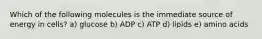 Which of the following molecules is the immediate source of energy in cells? a) glucose b) ADP c) ATP d) lipids e) amino acids