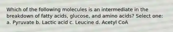 Which of the following molecules is an intermediate in the breakdown of fatty acids, glucose, and <a href='https://www.questionai.com/knowledge/k9gb720LCl-amino-acids' class='anchor-knowledge'>amino acids</a>? Select one: a. Pyruvate b. Lactic acid c. Leucine d. Acetyl CoA