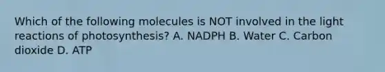 Which of the following molecules is NOT involved in the light reactions of photosynthesis? A. NADPH B. Water C. Carbon dioxide D. ATP