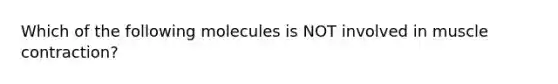 Which of the following molecules is NOT involved in muscle contraction?