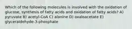 Which of the following molecules is involved with the oxidation of glucose, synthesis of fatty acids and oxidation of fatty acids? A) pyruvate B) acetyl-CoA C) alanine D) oxaloacetate E) glyceraldehyde-3-phosphate