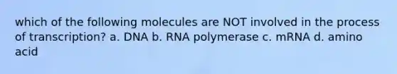 which of the following molecules are NOT involved in the process of transcription? a. DNA b. RNA polymerase c. mRNA d. amino acid