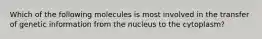 Which of the following molecules is most involved in the transfer of genetic information from the nucleus to the cytoplasm?