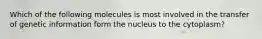 Which of the following molecules is most involved in the transfer of genetic information form the nucleus to the cytoplasm?