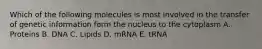 Which of the following molecules is most involved in the transfer of genetic information form the nucleus to the cytoplasm A. Proteins B. DNA C. Lipids D. mRNA E. tRNA