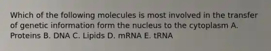 Which of the following molecules is most involved in the transfer of genetic information form the nucleus to the cytoplasm A. Proteins B. DNA C. Lipids D. mRNA E. tRNA