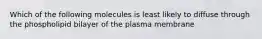 Which of the following molecules is least likely to diffuse through the phospholipid bilayer of the plasma membrane