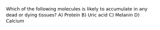 Which of the following molecules is likely to accumulate in any dead or dying tissues? A) Protein B) Uric acid C) Melanin D) Calcium