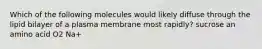 Which of the following molecules would likely diffuse through the lipid bilayer of a plasma membrane most rapidly? sucrose an amino acid O2 Na+