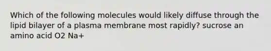 Which of the following molecules would likely diffuse through the lipid bilayer of a plasma membrane most rapidly? sucrose an amino acid O2 Na+