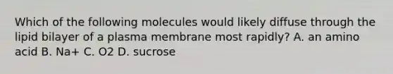 Which of the following molecules would likely diffuse through the lipid bilayer of a plasma membrane most rapidly? A. an amino acid B. Na+ C. O2 D. sucrose