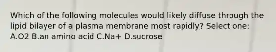 Which of the following molecules would likely diffuse through the lipid bilayer of a plasma membrane most rapidly? Select one: A.O2 B.an amino acid C.Na+ D.sucrose