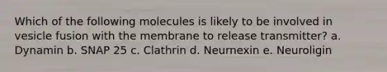 Which of the following molecules is likely to be involved in vesicle fusion with the membrane to release transmitter? a. Dynamin b. SNAP 25 c. Clathrin d. Neurnexin e. Neuroligin