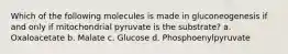 Which of the following molecules is made in gluconeogenesis if and only if mitochondrial pyruvate is the substrate? a. Oxaloacetate b. Malate c. Glucose d. Phosphoenylpyruvate